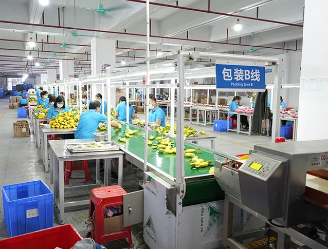 Envasado de productos
