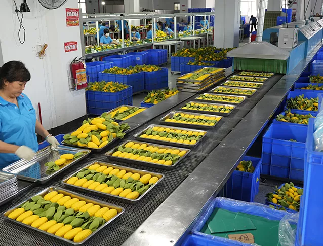 Inspección del producto